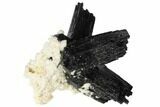 Black Tourmaline (Schorl) Crystals with Orthoclase - Namibia #132205-1